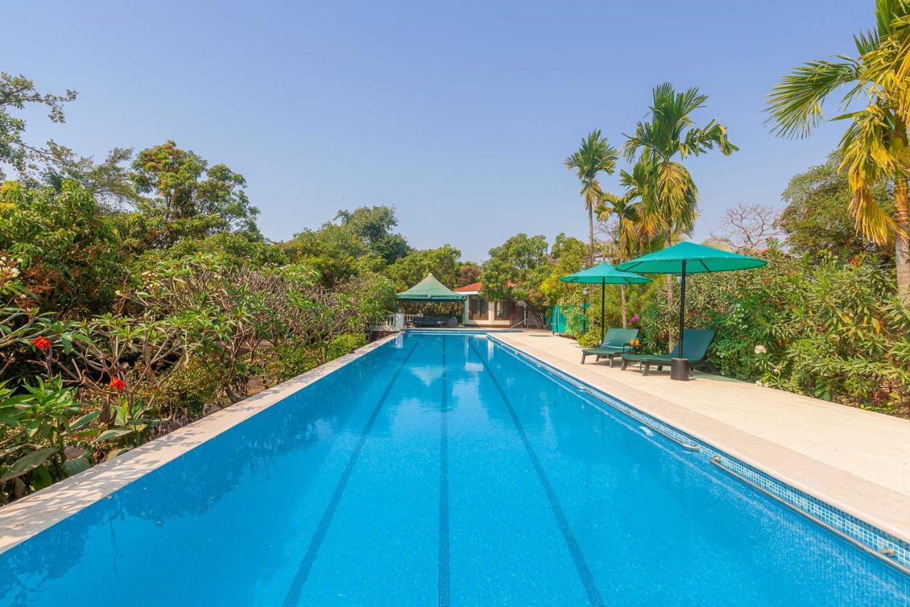 Stayvista's Casa Palmera: Pet-Friendly Villa with Pool and Games Alibag Exterior photo