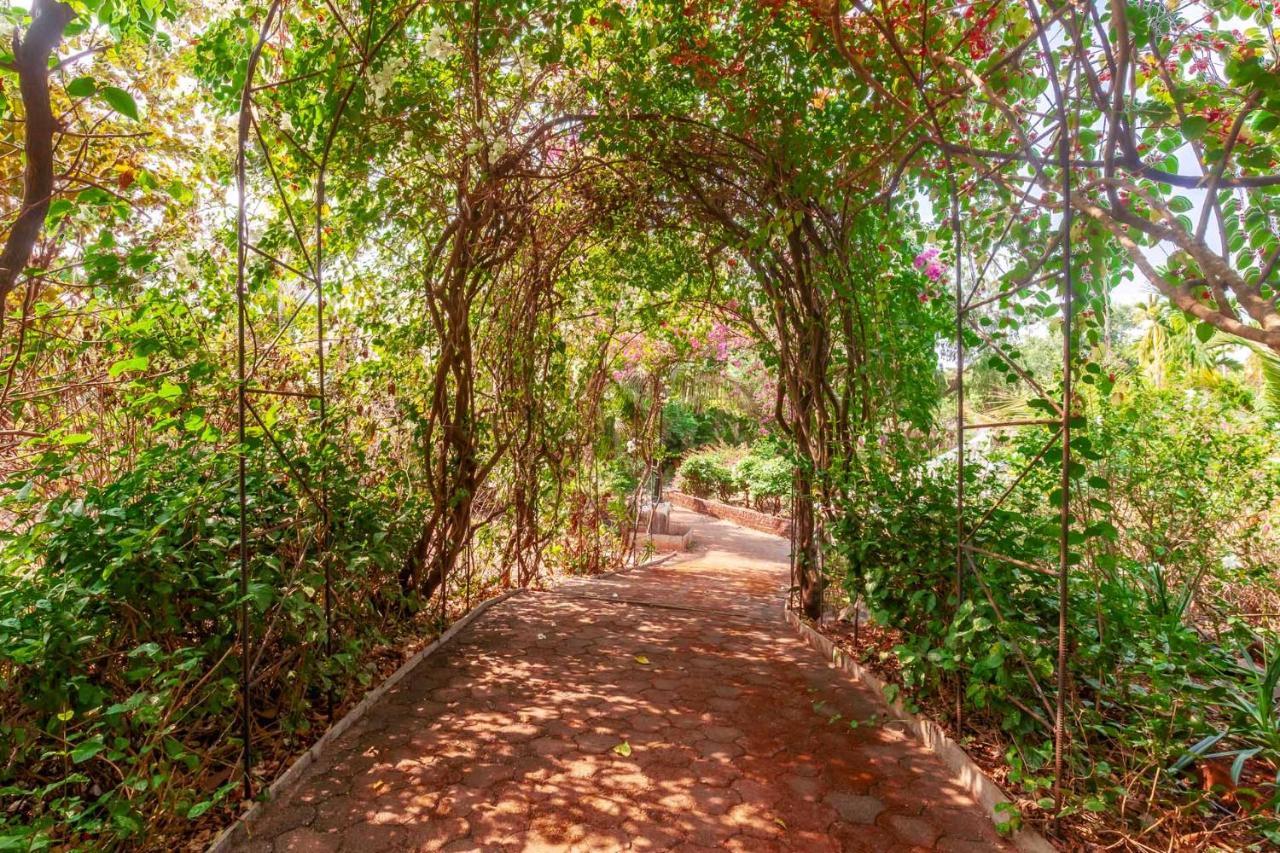 Stayvista's Casa Palmera: Pet-Friendly Villa with Pool and Games Alibag Exterior photo